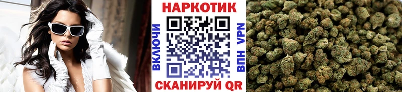 A PVP Рыльск