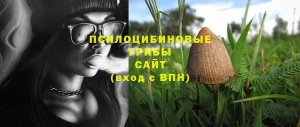 мяу мяу мука Арсеньев