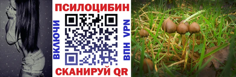 Галлюциногенные грибы Cubensis  Рыльск 