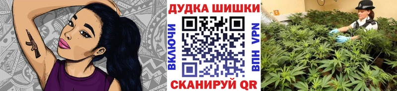 Шишки марихуана план  магазин  наркотиков  Рыльск 